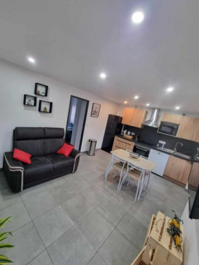 Appartement le Crozatier